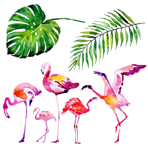 Krásné Tropické Palmové Listy Flamingo Akvarel Ilustrace — Stock fotografie