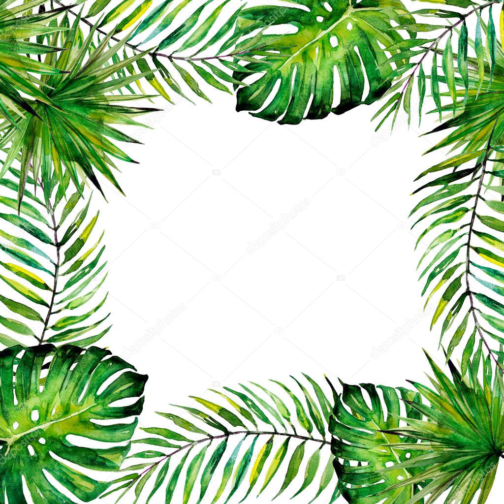 beautiful tropical palm laves, watercolor frame