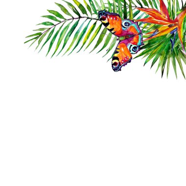 güzel tropikal palmiye yaprakları ve çiçekleri, suluboya