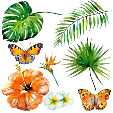 güzel tropikal palmiye yaprakları ve çiçekleri, suluboya