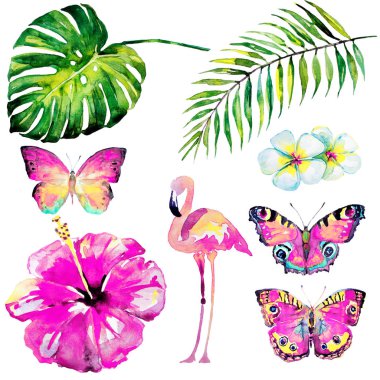 güzel tropikal palmiye yaprakları ve çiçekleri, suluboya