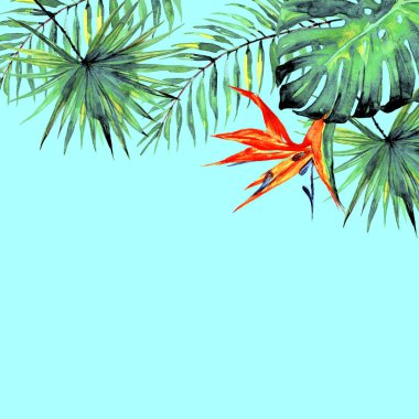 güzel tropikal palmiye yaprakları ve çiçekleri, suluboya