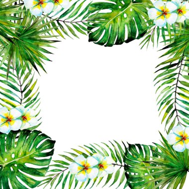 güzel tropikal palmiye laves, suluboya çerçeve