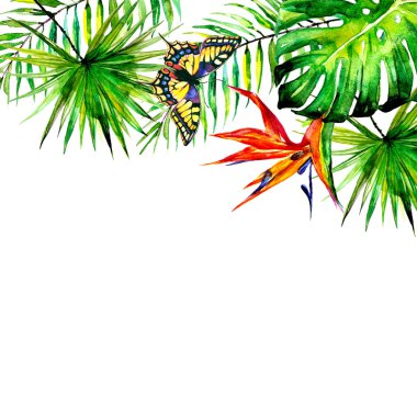 güzel tropikal palmiye yaprakları ve çiçekleri, suluboya