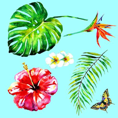 güzel tropikal palmiye yaprakları ve çiçekleri, suluboya