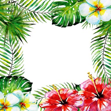 güzel tropikal palmiye yaprakları ve çiçekleri, suluboya