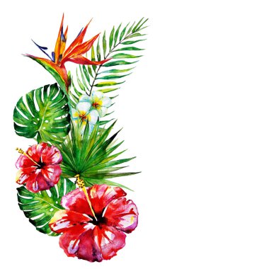 güzel kırmızı çiçekler, palmiye yaprakları, beyaz üzerine suluboya