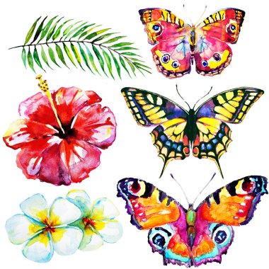 güzel kırmızı çiçekler, palmiye yaprakları, beyaz üzerine suluboya