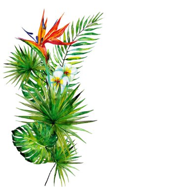 güzel tropikal palmiye yaprakları ve çiçekleri, suluboya