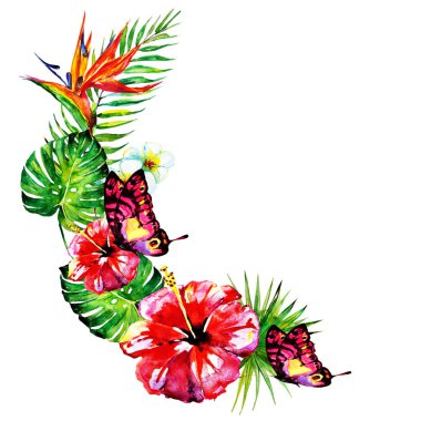 güzel kırmızı çiçekler, palmiye yaprakları, beyaz üzerine suluboya