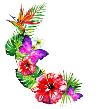 güzel kırmızı çiçekler, palmiye yaprakları, beyaz üzerine suluboya