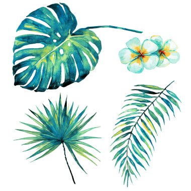 güzel tropikal palmiye yaprakları ve çiçekleri, suluboya