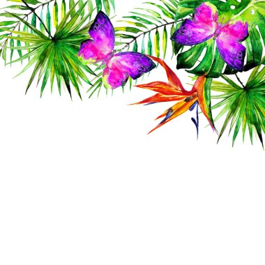 güzel tropikal palmiye yaprakları ve çiçekleri, suluboya