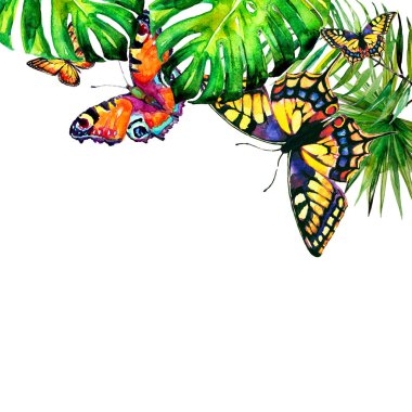 Hawaiian çiçekler, kelebekler, suluboya, egzotik bitkiler, beyaz izole