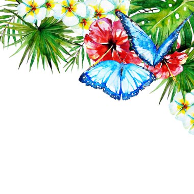 Hawaiian çiçekler, kelebekler, suluboya, egzotik bitkiler, beyaz izole