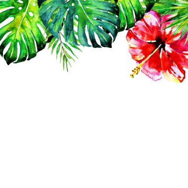 tropikal palmiye ağacı, yapraklar, çiçekler, yaz saati