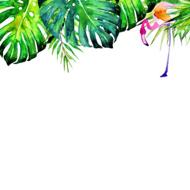 Hawaiian çiçek, egzotik bitkiler, beyaz izole