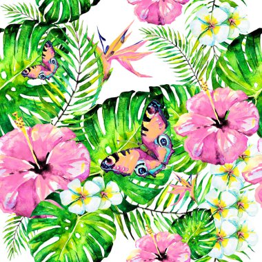 Hawaiian çiçekler, kelebekler, suluboya, egzotik bitkiler, beyaz izole