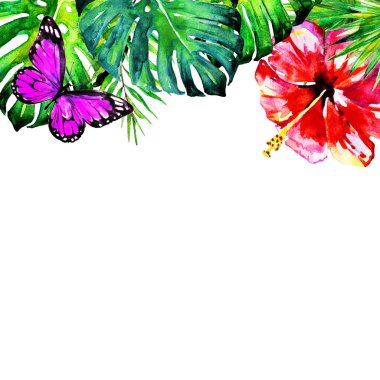 tropikal palmiye ağacı, yapraklar, çiçekler, yaz saati