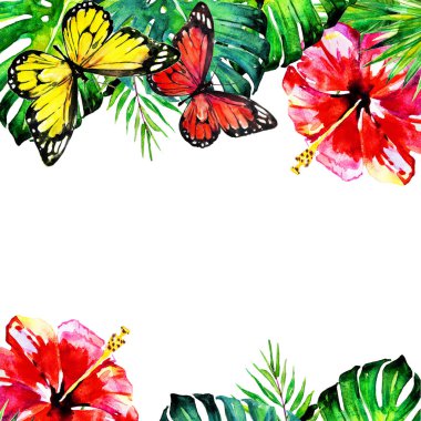 tropikal palmiye ağacı, yapraklar, çiçekler, yaz saati