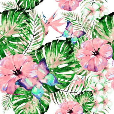 Hawaiian çiçek, egzotik bitkiler, beyaz izole