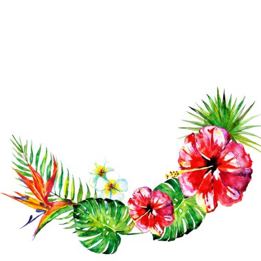 güzel kırmızı çiçekler, palmiye yaprakları, beyaz üzerine suluboya