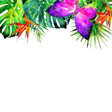 Hawaiian çiçek, egzotik bitkiler, beyaz izole