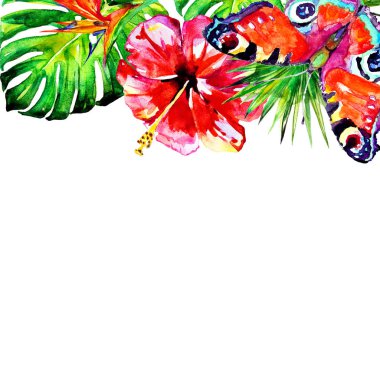 Hawaiian çiçek, egzotik bitkiler, beyaz izole