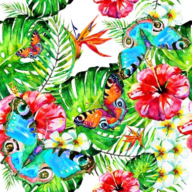 Hawaiian çiçekler, kelebekler, suluboya, egzotik bitkiler, beyaz izole