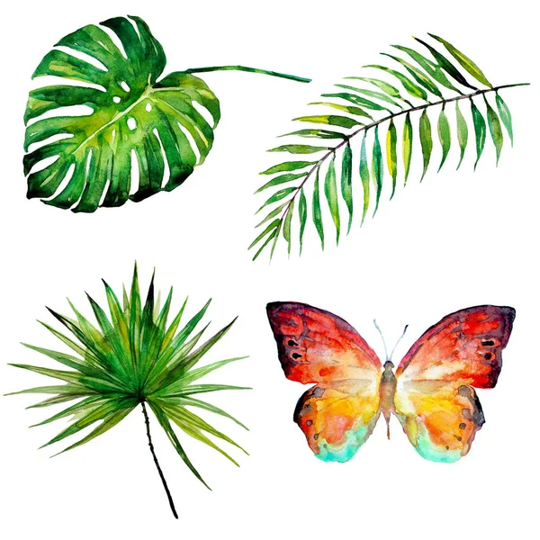 güzel tropikal palmiye yaprakları ve çiçekleri, suluboya