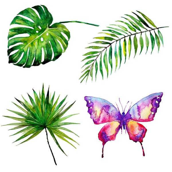 güzel tropikal palmiye yaprakları ve çiçekleri, suluboya