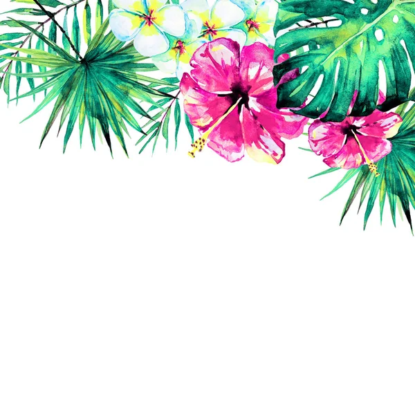 güzel tropikal palmiye yaprakları ve çiçekleri, suluboya