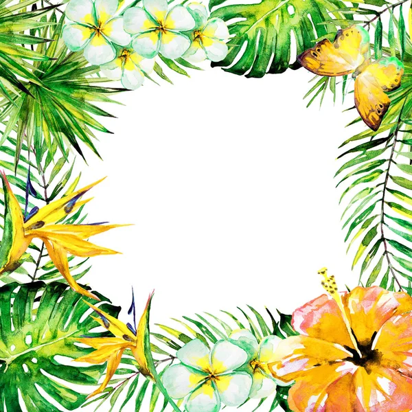 güzel tropikal palmiye yaprakları ve çiçekleri, suluboya