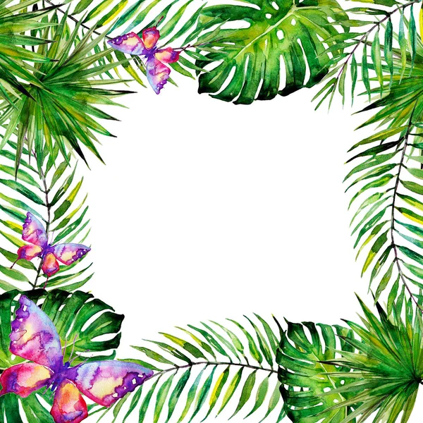 güzel tropikal palmiye laves, suluboya çerçeve