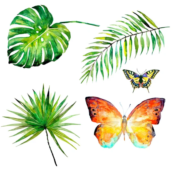 güzel tropikal palmiye yaprakları ve çiçekleri, suluboya