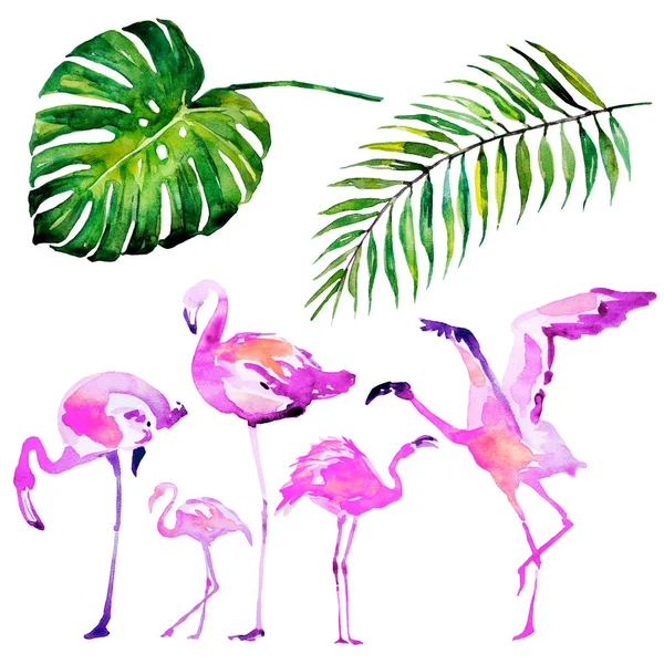 güzel tropikal palmiye yaprakları ve flamingo, suluboya resim