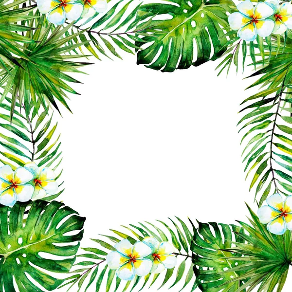 güzel tropikal palmiye laves, suluboya çerçeve