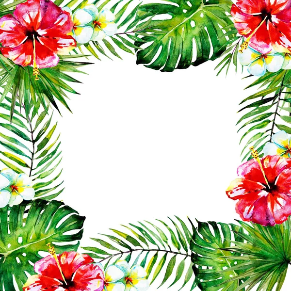 güzel tropikal palmiye laves, suluboya çerçeve