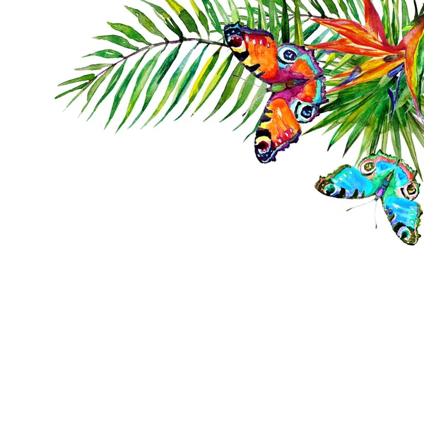 güzel tropikal palmiye yaprakları ve çiçekleri, suluboya