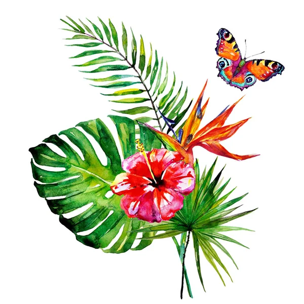 güzel tropikal palmiye yaprakları ve çiçekleri, suluboya
