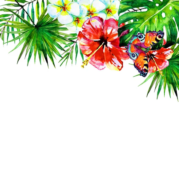 güzel tropikal palmiye yaprakları ve çiçekleri, suluboya