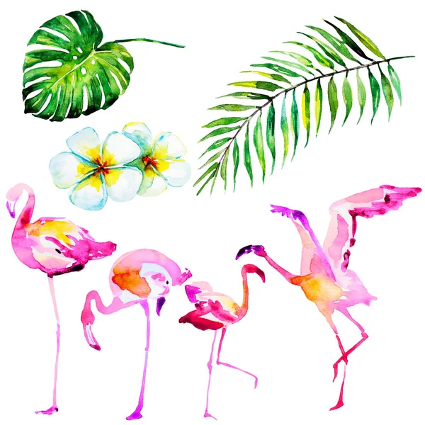 Schöne Tropische Palmenblätter Und Flamingo Aquarell Illustration — Stockfoto