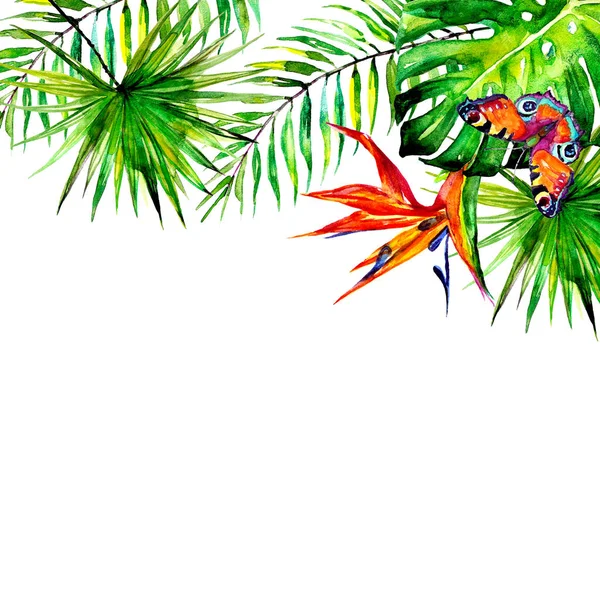 Belle Foglie Palma Tropicale Fiori Acquerello — Foto Stock