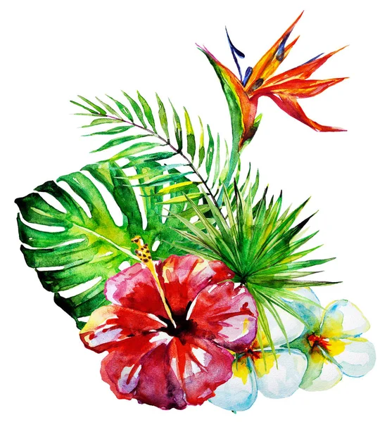 güzel tropikal palmiye yaprakları ve çiçekleri, suluboya