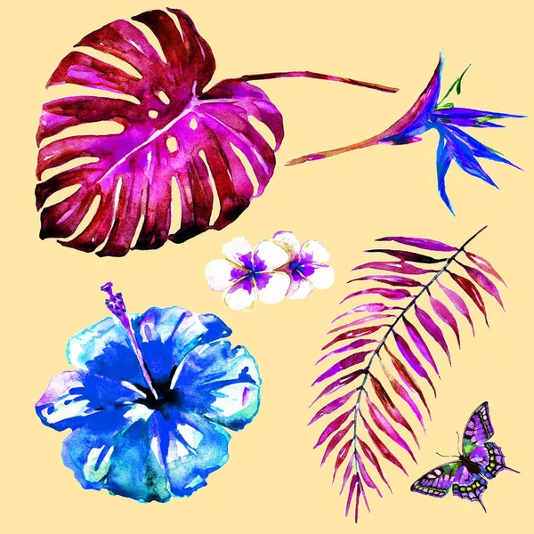 Gyönyörű Trópusi Pálma Levelek Virágok Akvarell — Stock Fotó
