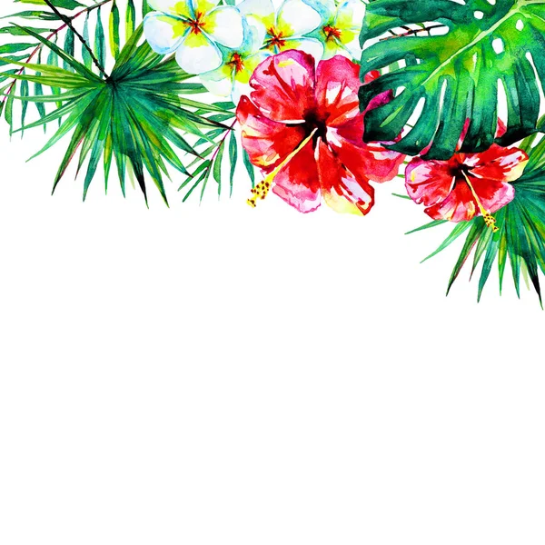 güzel tropikal palmiye yaprakları ve çiçekleri, suluboya