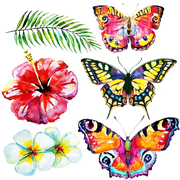 güzel kırmızı çiçekler, palmiye yaprakları, beyaz üzerine suluboya