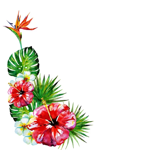 güzel kırmızı çiçekler, palmiye yaprakları, beyaz üzerine suluboya