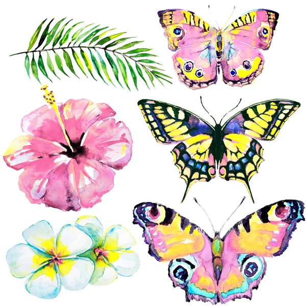 güzel kırmızı çiçekler, palmiye yaprakları, beyaz üzerine suluboya