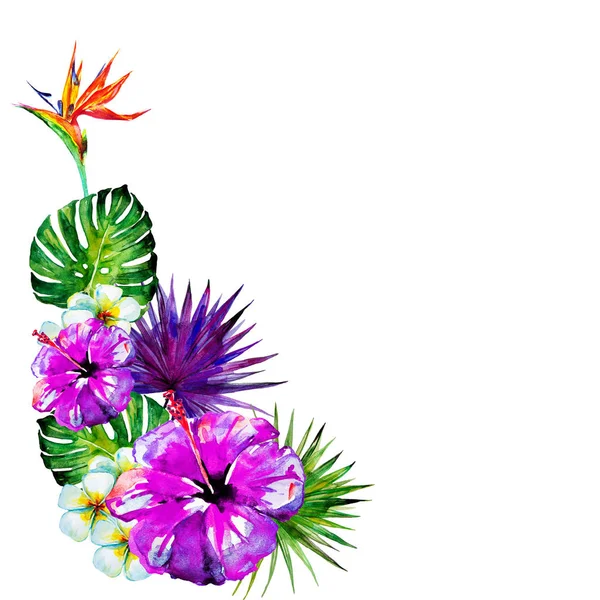 Wunderschöne Violette Blüten Palmblätter Aquarell Auf Weiß — Stockfoto